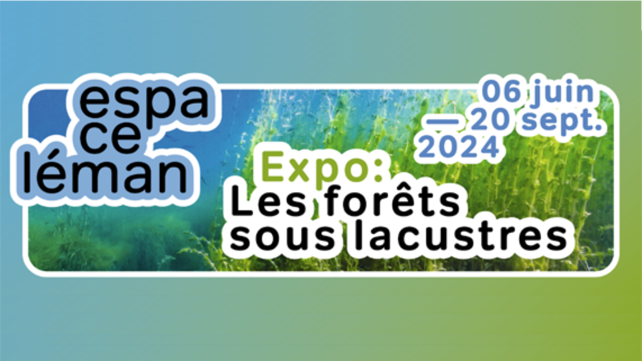Expo - Les forêts sous-lacustres