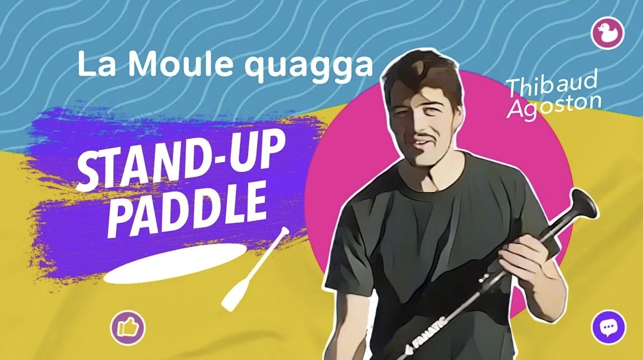 LA MOULE QUAGGA